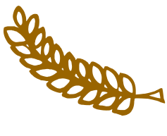 Een linkervleugel in het goud van het Cum Laude-logo